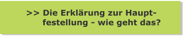 >> Die Erklärung zur Haupt-       festellung - wie geht das?