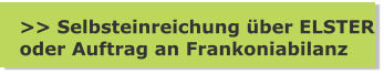 >> Selbsteinreichung über ELSTER oder Auftrag an Frankoniabilanz